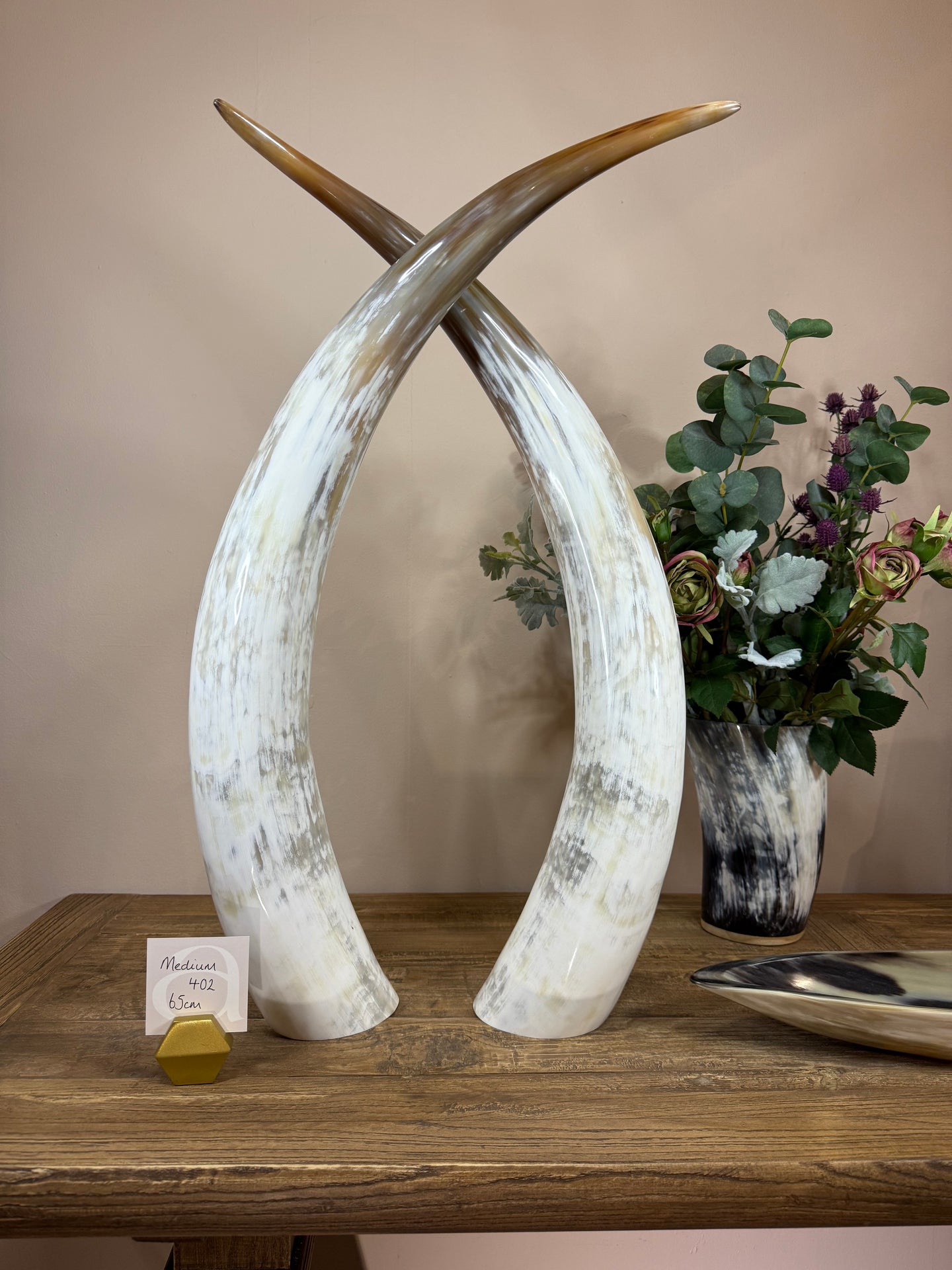 Ankole Cattle Horns - Medium 402