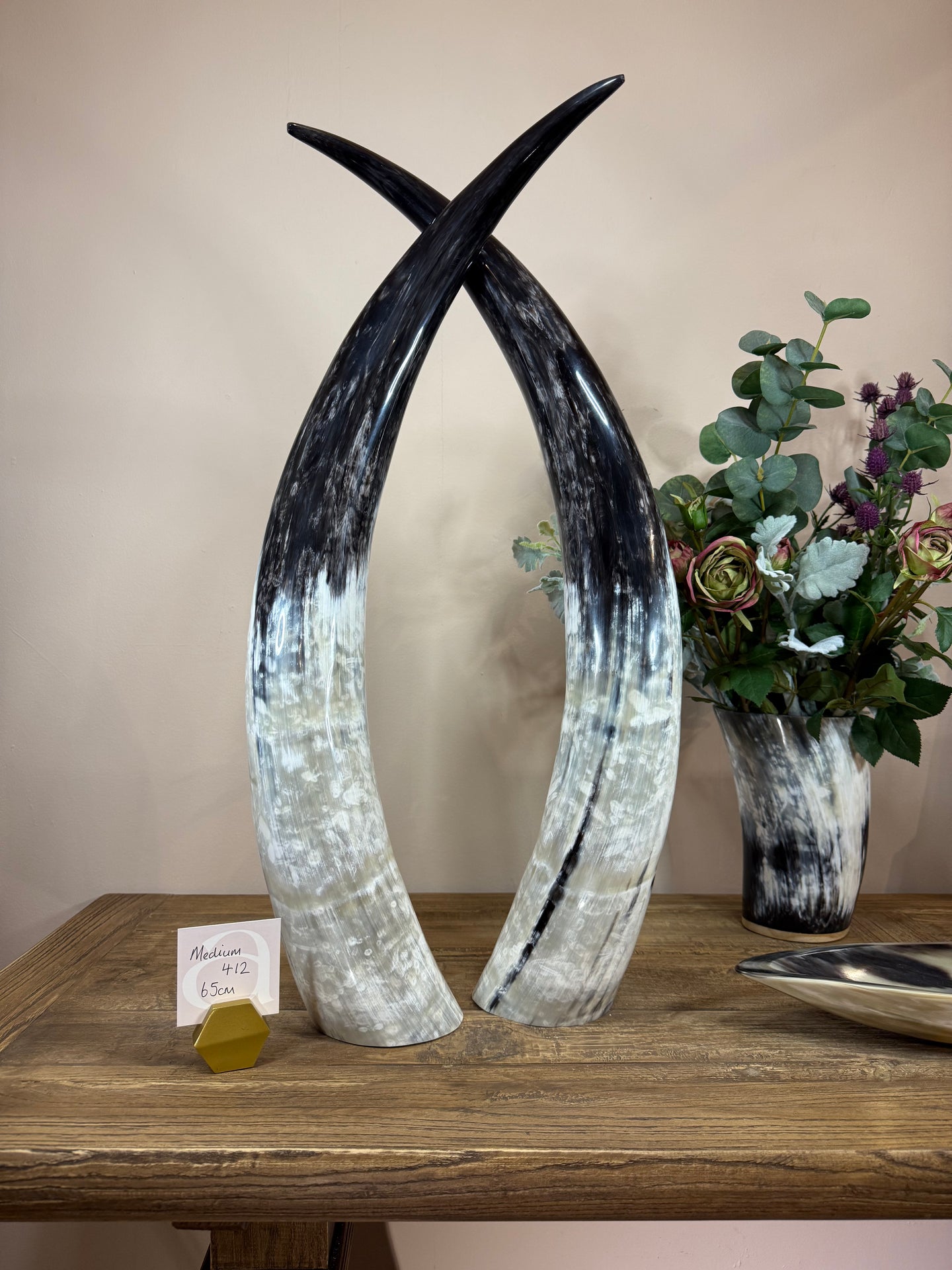 Ankole Cattle Horns - Medium 412