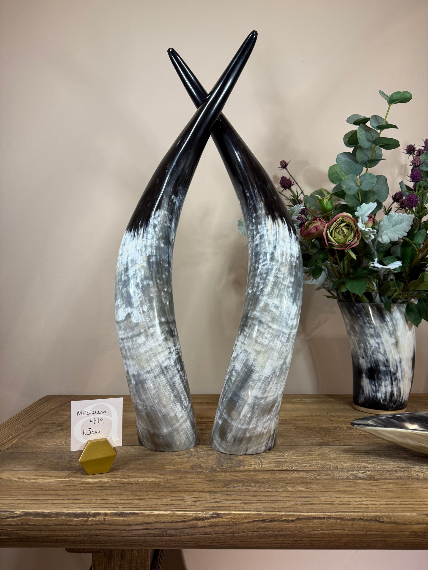 Ankole Cattle Horns - Medium 419