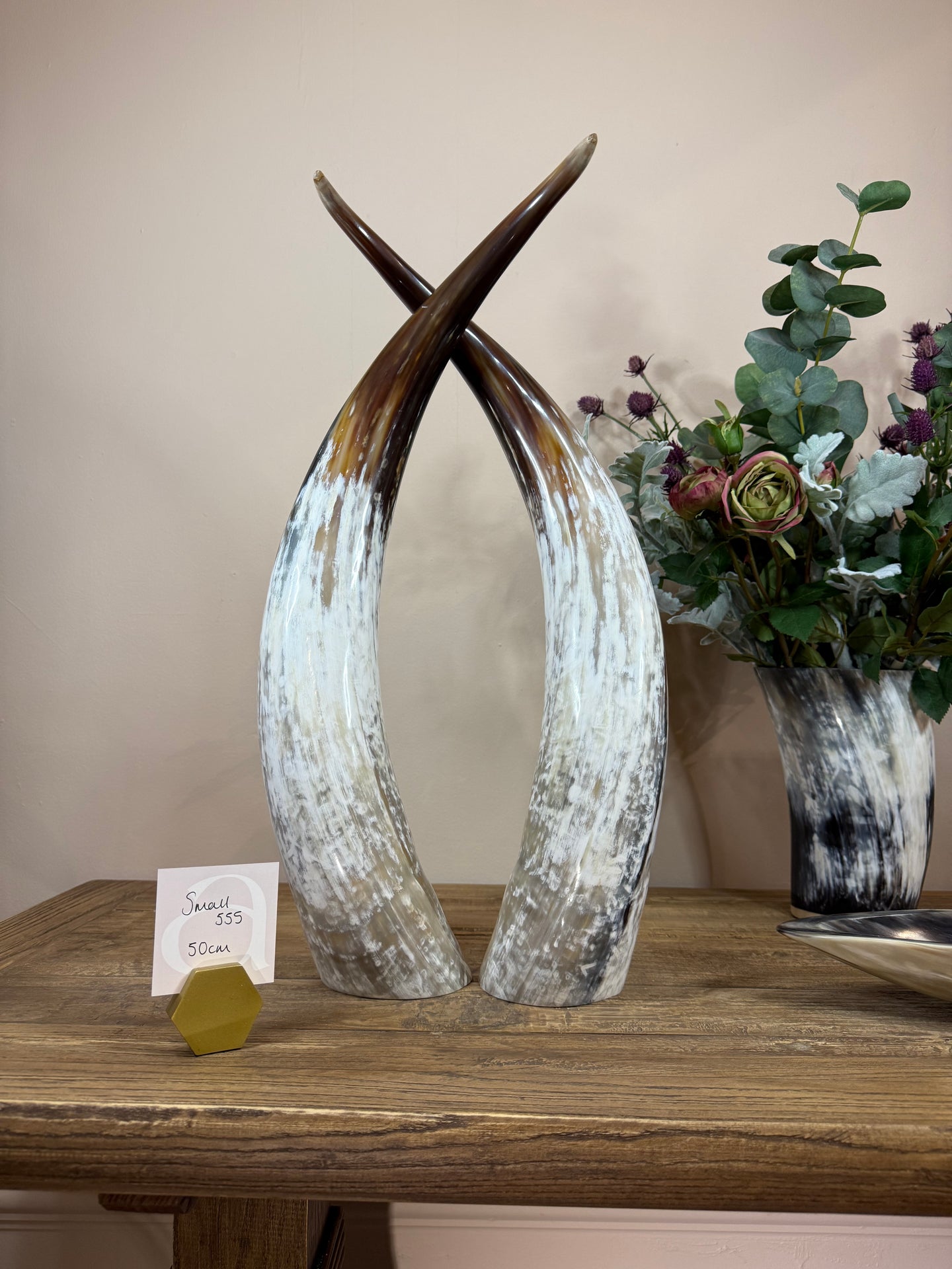 Ankole Cattle Horns - Small 555