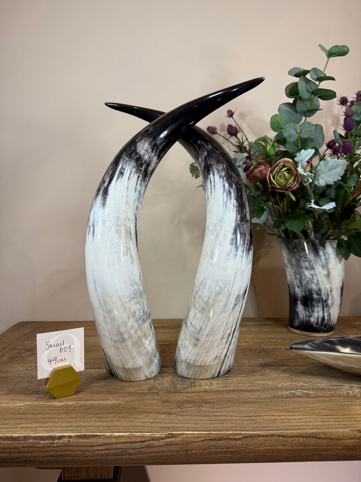 Ankole Cattle Horns - Small 603