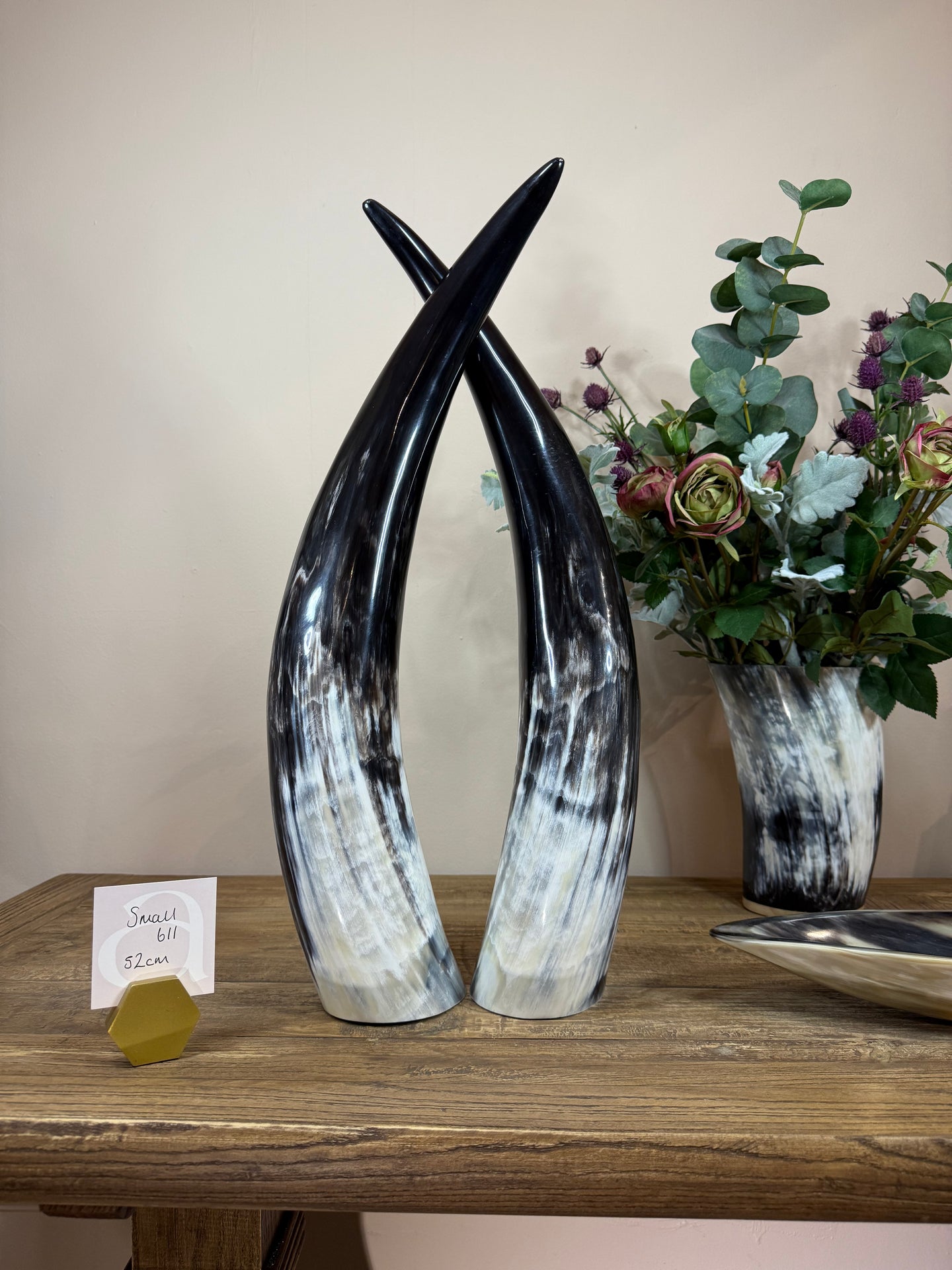 Ankole Cattle Horns - Small 611