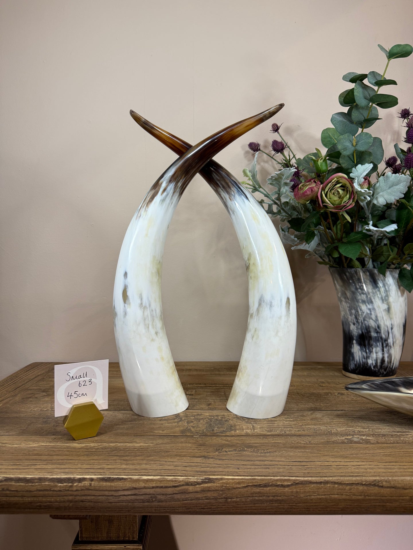 Ankole Cattle Horns - Small 623