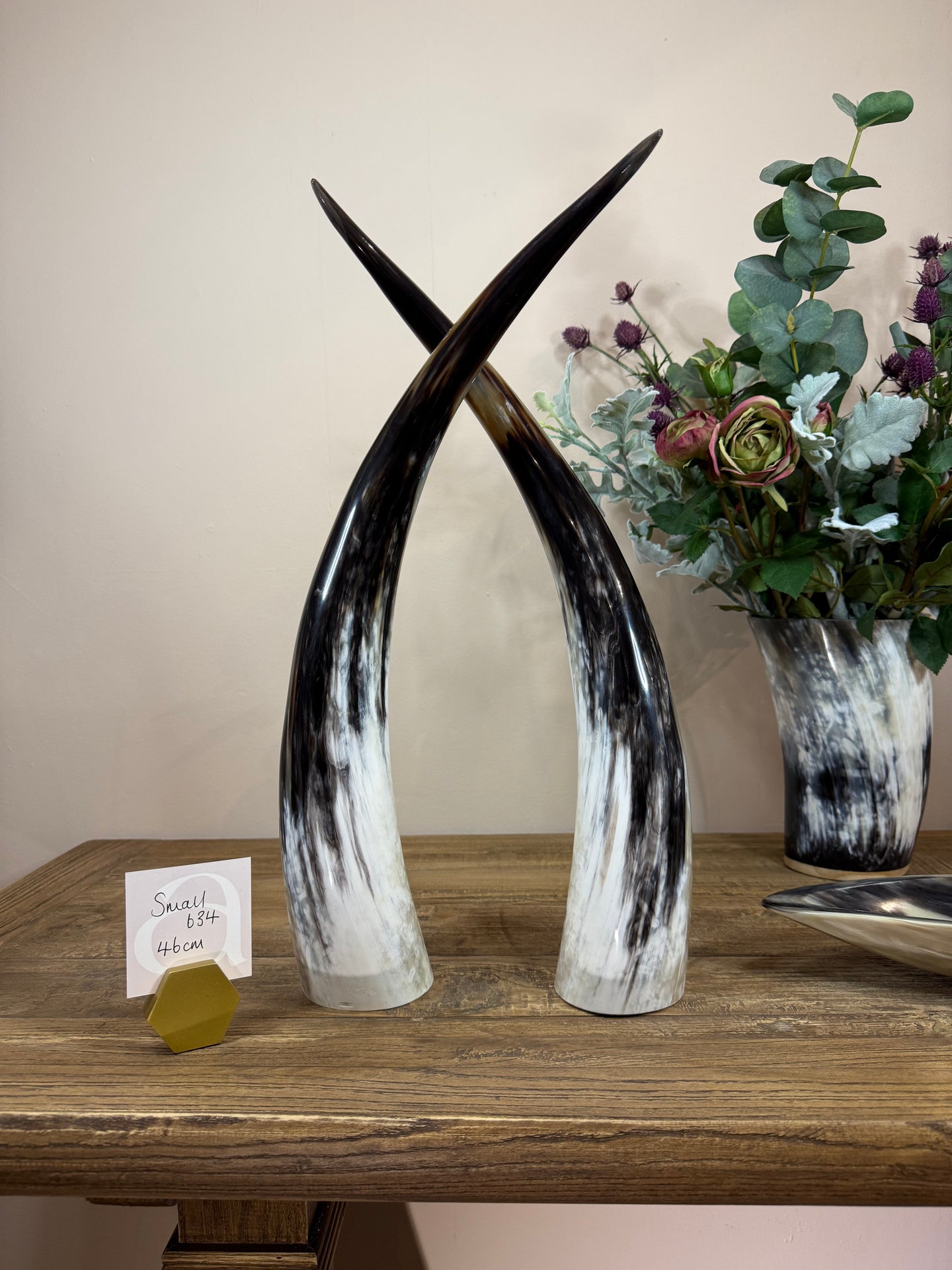 Ankole Cattle Horns - Small 634