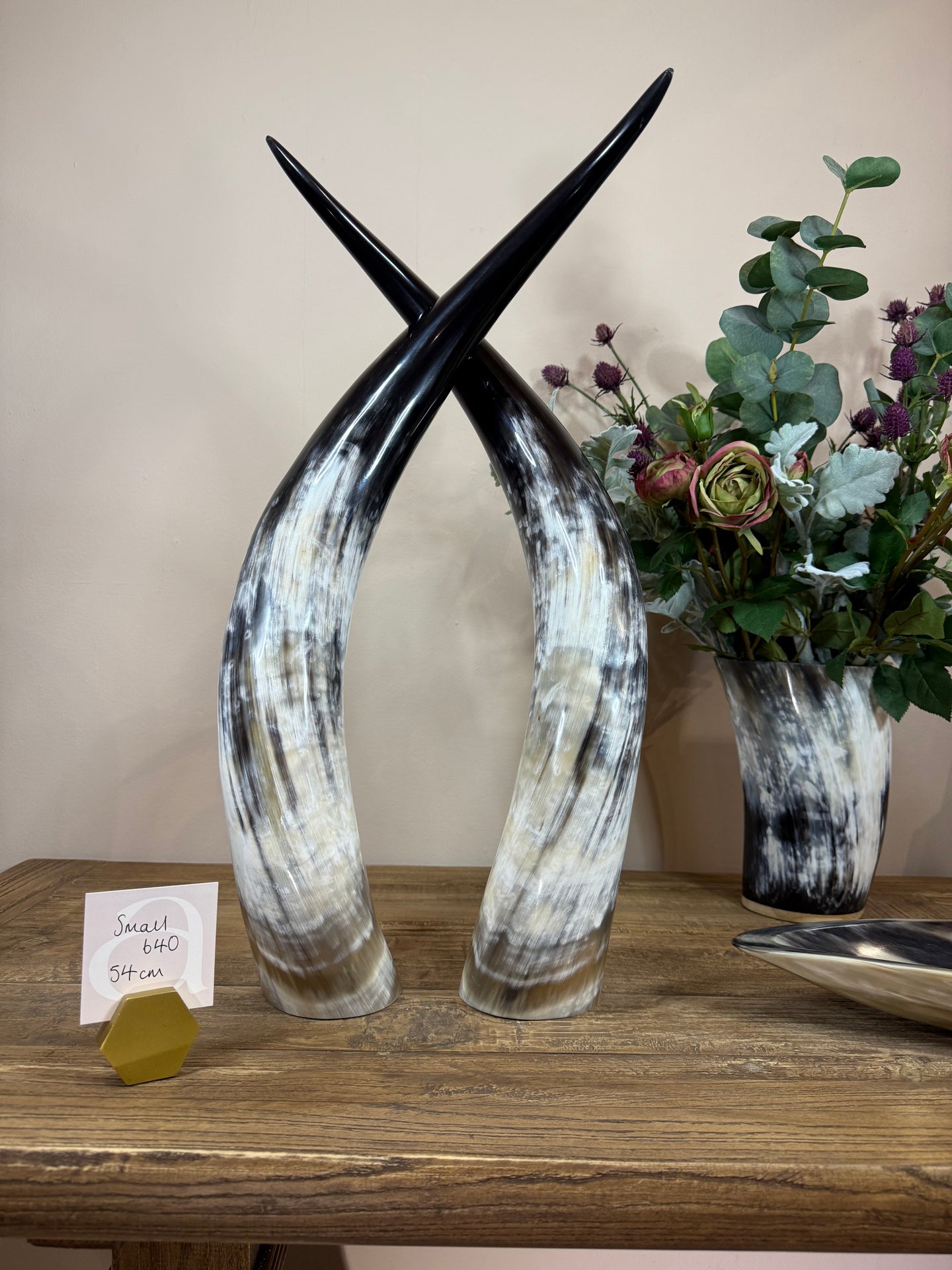 Ankole Cattle Horns - Small 640