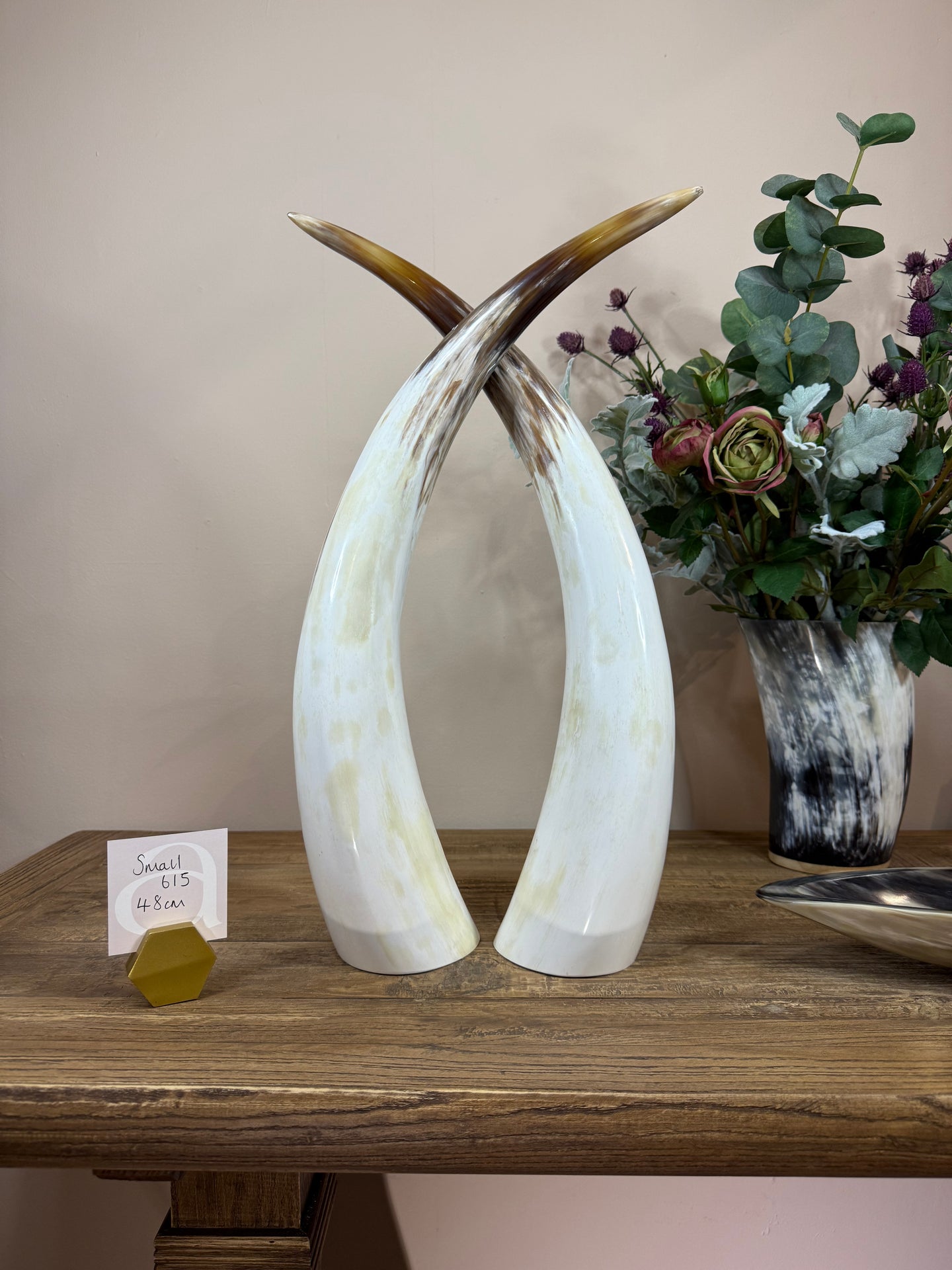 Ankole Cattle Horns - Small 615