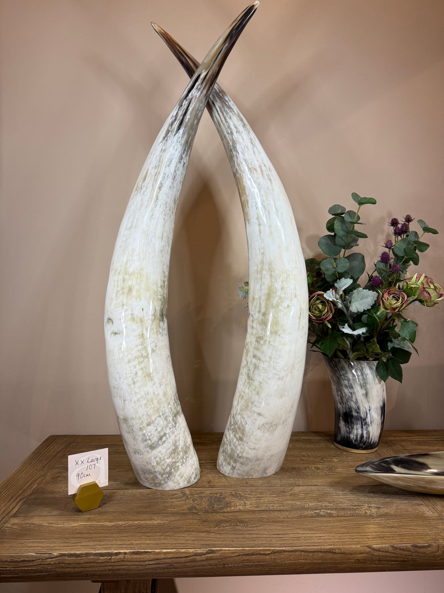 Ankole Cattle Horns - XX Large 107