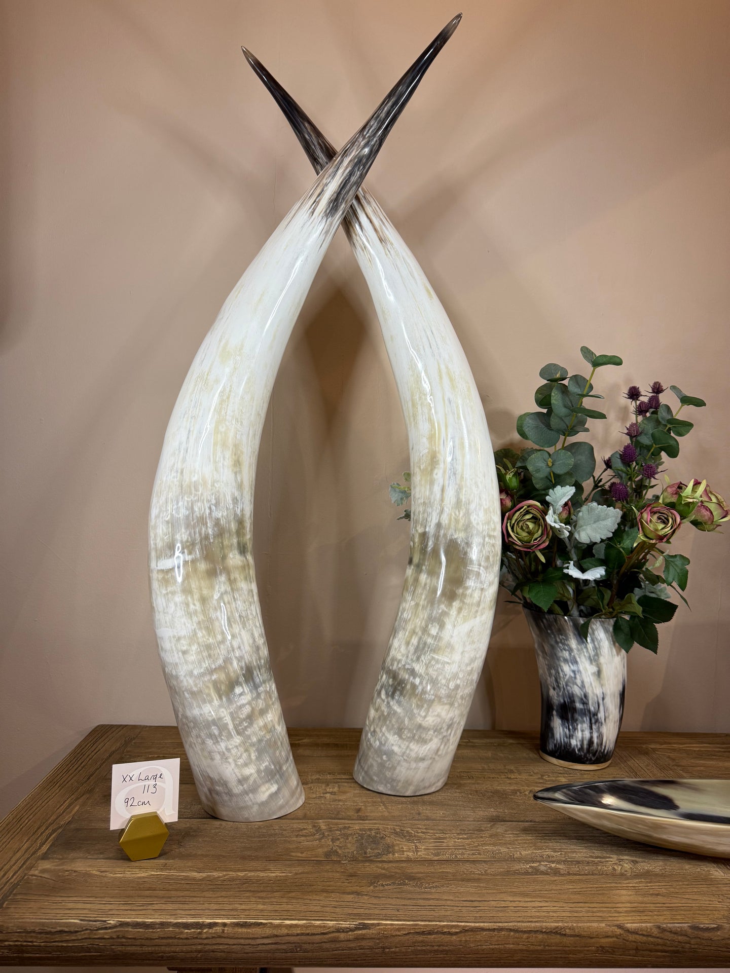 Ankole Cattle Horns - XX Large 113