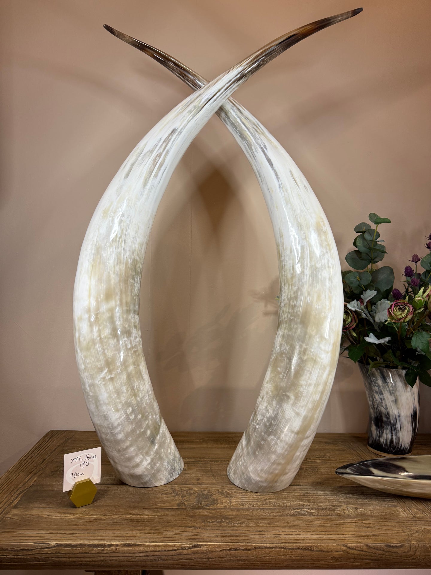 Ankole Cattle Horns - XX Large 130